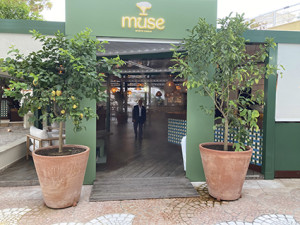 Muse : l’été du Méridien