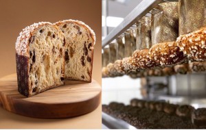 Le délicieux panettone du Louis XV-Alain Ducasse est de retour