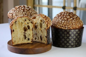 Revoilà le panettone du Louis XV