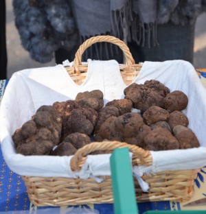 Truffe à St. Paul de Vence