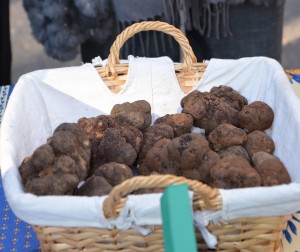 Truffes rares et chères