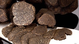 La truffe en fête au Château Rasque