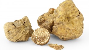 Truffes blanches au Clos Saint Pierre