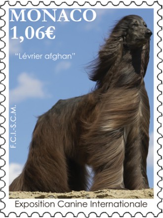 Exposition Canine Internationale