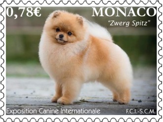 Exposition Canine Internationale