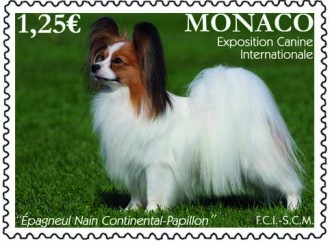 Exposition Canine Internationale