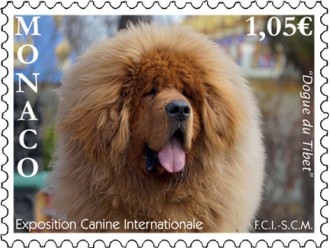 Exposition Canine Internationale